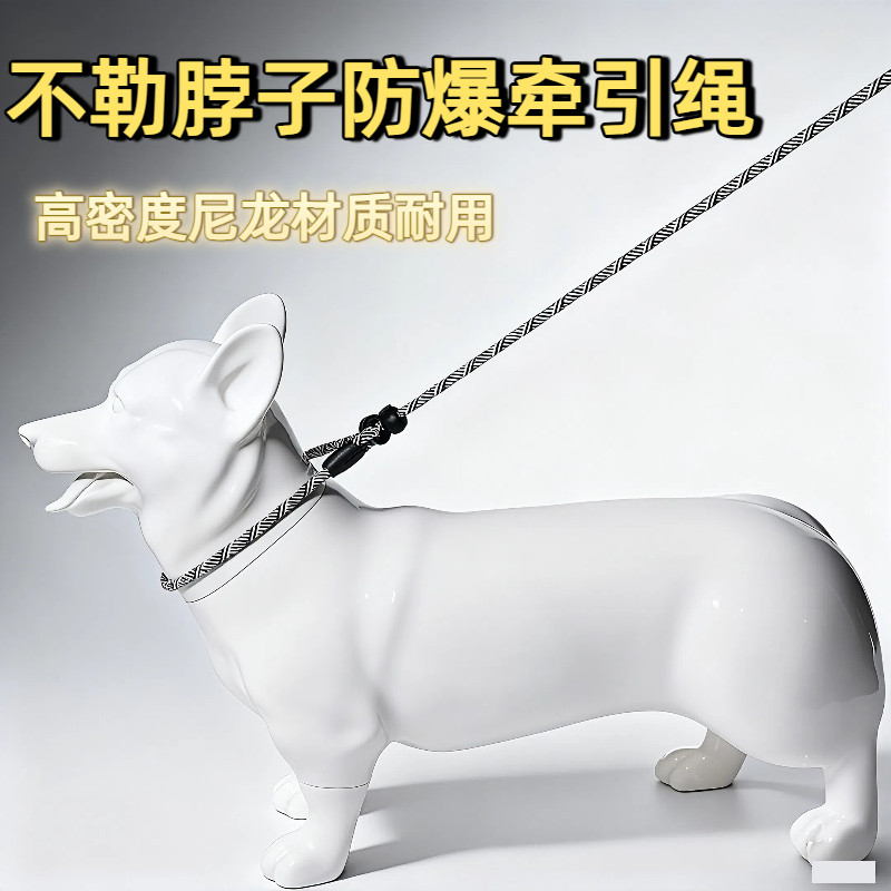 狗狗牵引绳防爆冲一体式P绳P链