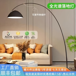 全光谱钓鱼灯落地灯客厅沙发旁轻奢设计感氛围灯智能卧室立式台灯