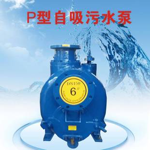 4自吸污水泵高吸程泵防洪排涝泵移动泵固定泵柴油机泵排污泵PW