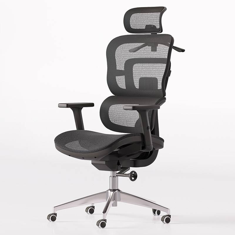 电脑椅人体工学椅子靠背家用高密度海绵老板电竞办公转椅书房椅子