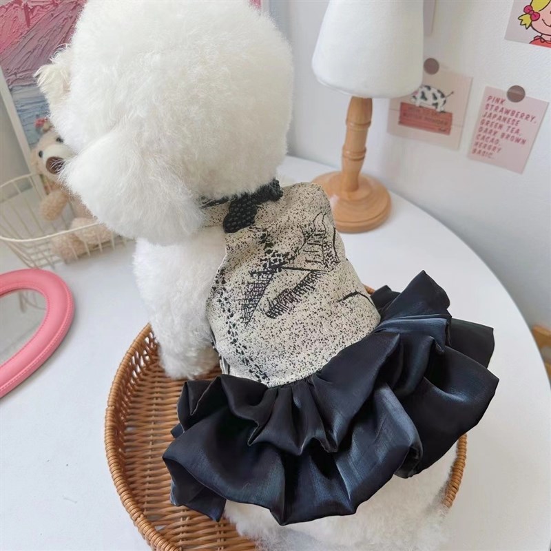 现货速发墨香《墨鸢》中式唐装 马尔济斯中国风旗袍金渐层小猫咪