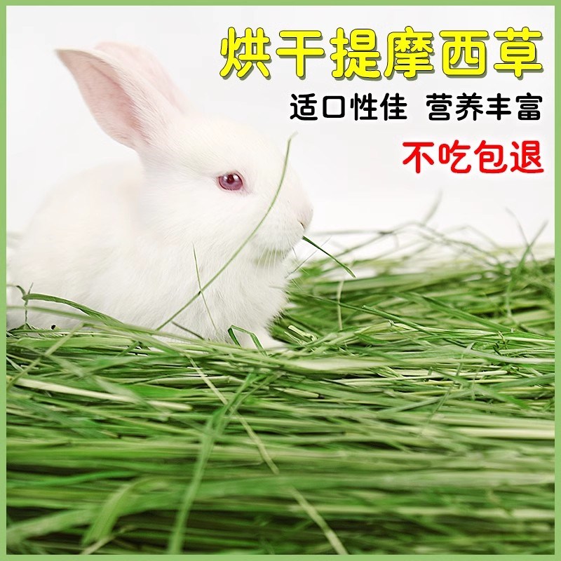 现货速发24年烘干提摩西草兔粮饲料兔子食用牧草猪豚鼠干草粮食零