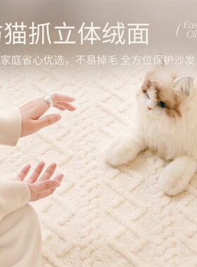 快速发货毛绒沙发盖布2r025新款秋冬季白色防猫爪沙发毯万能全盖