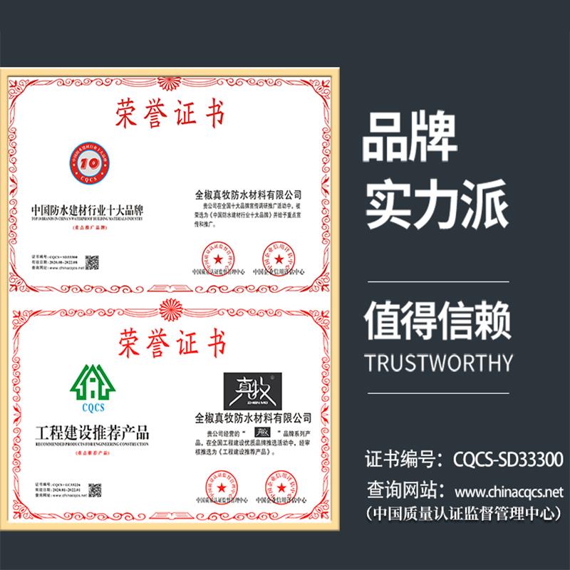 真牧注浆机高压防水灌浆机电动止水针头注浆钉补堵漏机器设备配件