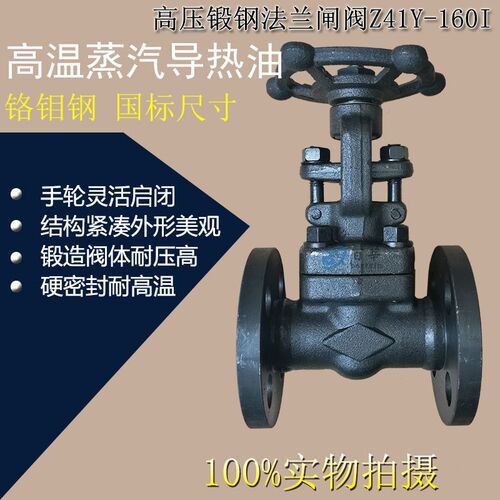 Z41Y-160I法兰锻钢高压闸阀F11铬钼合金钢锅炉蒸汽导热油dn10 25