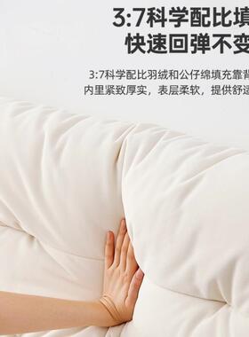 baxter云朵网红奶油风技布床双人主科卧IVG大床现代床简约悬浮床