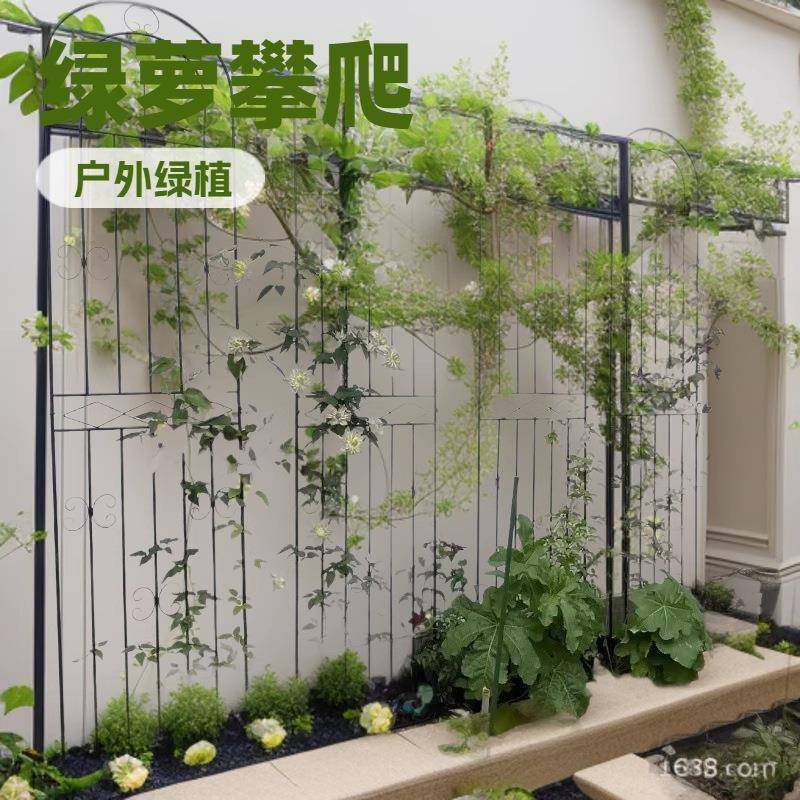 物铁艺底座爬藤花架户外植带物攀爬架置架园花10008109庭院园艺展,鲜花速递/花卉仿真/绿植园艺,花架,淘宝优惠券,粉丝福利购,淘宝优惠卷