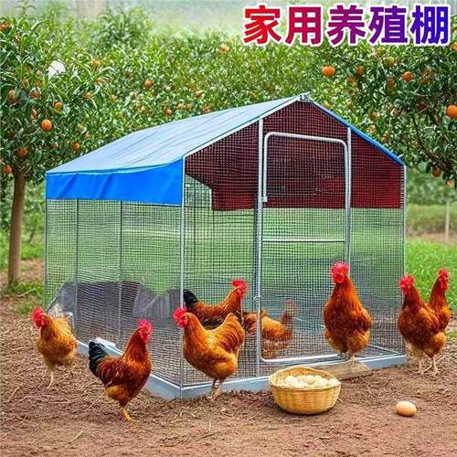 外养殖鸡棚大号家禽鸡笼养KMT鸡户笼孔雀防雨鸡舍大型搭建鸽家特