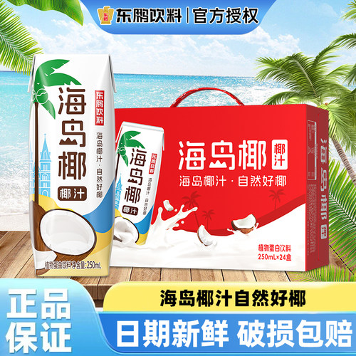 东鹏海岛椰椰汁植物蛋白饮料