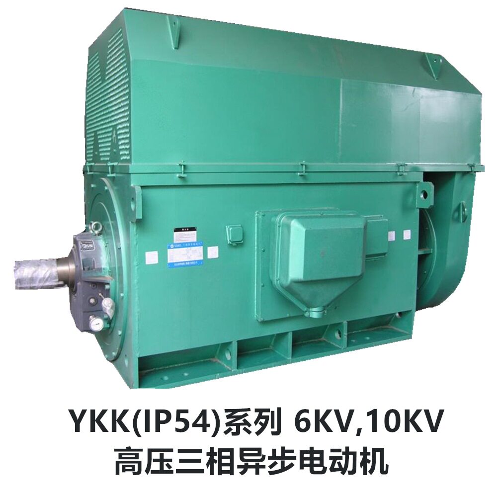 优质通用高压电机，风机水泵电机YKK630-6 1250KW 10KV IP54 F级