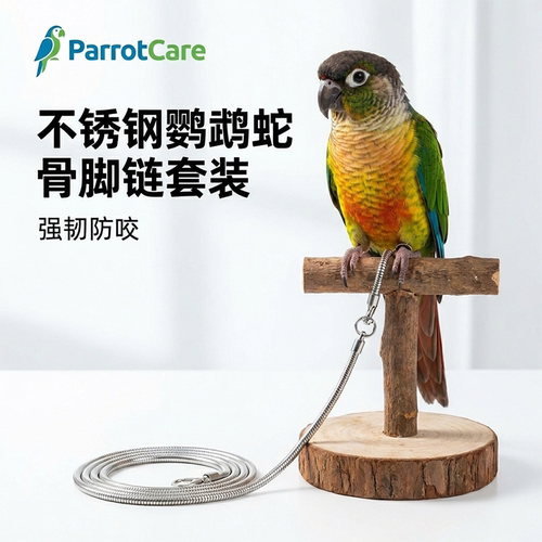 不锈钢鹦鹉脚链防咬防缠绕放飞