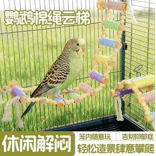 鹦鹉爬架爬梯实木彩绳攀爬秋千啃咬玩具站杆锻炼解闷玩具鸟笼装饰