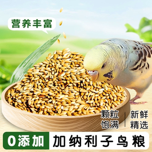 鹦鹉鸟食饲料加纳利子仁脱壳玄凤虎皮金丝雀白尖粟奖励训练鸟食物