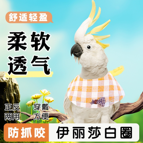 鹦鹉伊丽莎白圈牡丹和尚大头鸟受伤保护项圈防啄毛防抓咬脖套头套