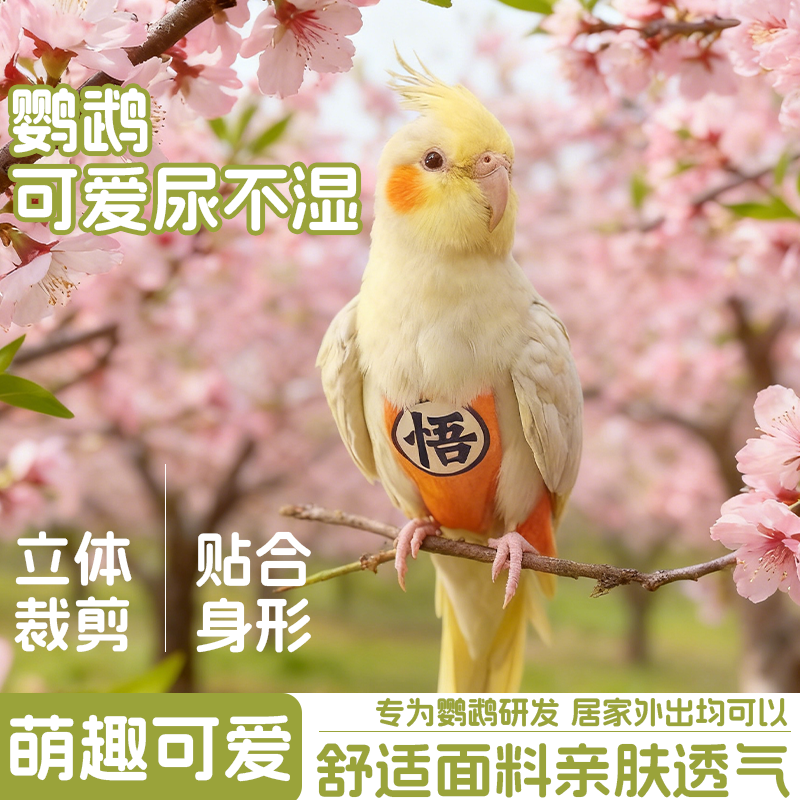 鹦鹉尿不湿牡丹拉屎神器