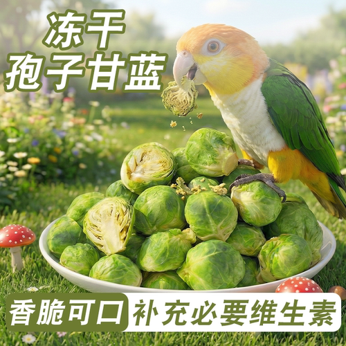 鹦鹉零食孢子甘蓝蔬菜水果辅食品