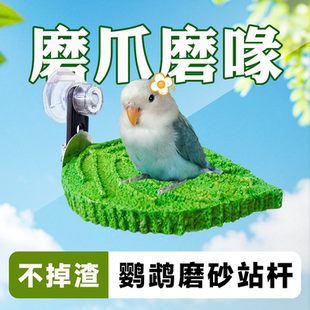 鹦鹉磨爪站杆自嗨解闷鸟玩具牡丹虎皮磨嘴爪棒吸盘站架棍鸟笼配件