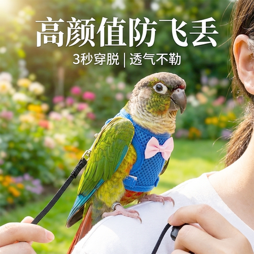 鹦鹉防飞逃胸背牵引绳放飞神器