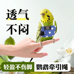 鹦鹉牵引绳透气舒适超轻飞行服放飞遛鸟绳背心外出服防飞丢延长绳