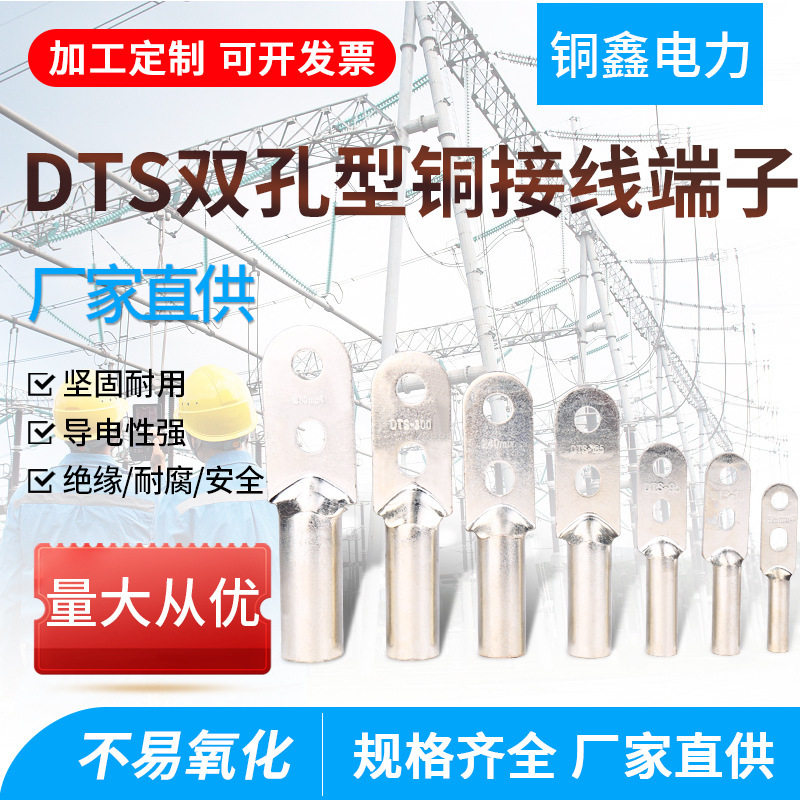DTS系列双孔铜接线端子镀锡电缆过渡线耳铜鼻子dts双孔铜鼻子