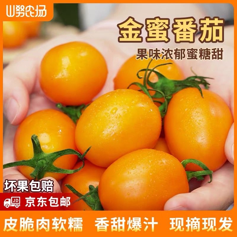 山努农场金蜜番茄水果皮脆肉软糯新鲜采摘小柿子京东,水产肉类/新鲜蔬果/熟食,番茄,淘宝优惠券,粉丝福利购,淘宝优惠卷