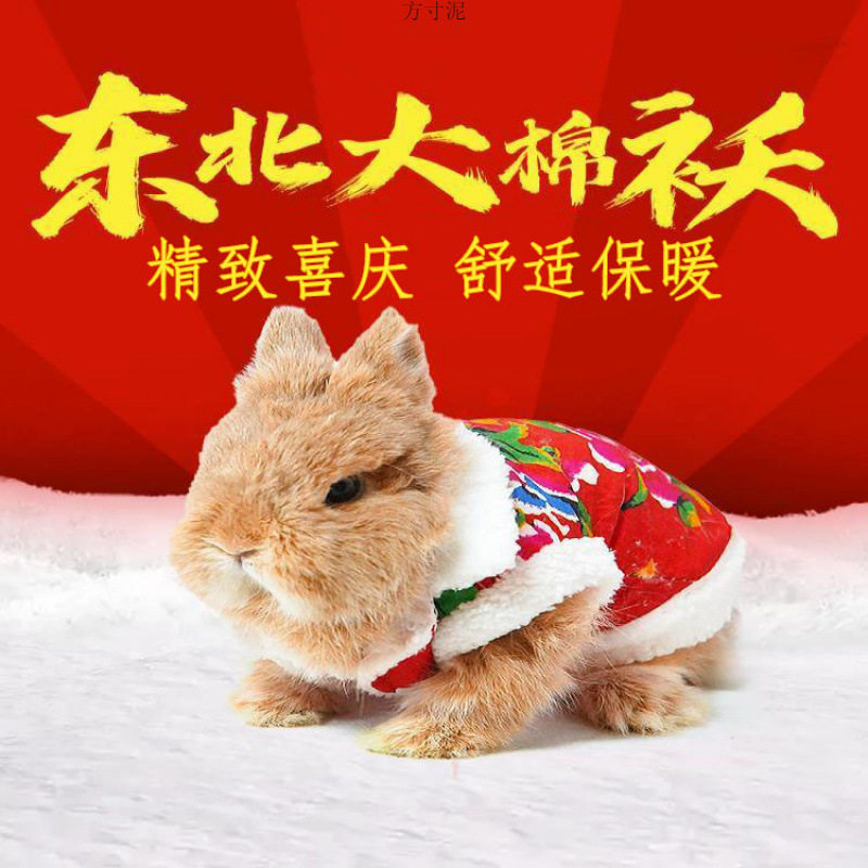 兔子衣服东北大花袄碎花可爱棉窝网红龙猫荷兰猪中式保暖外穿用品