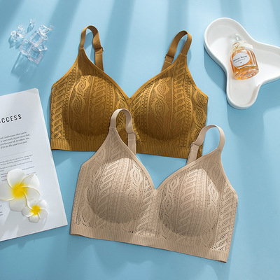 新蕾丝网纱内衣女大胸显小防下垂聚拢无钢圈舒适透气无感固定杯文