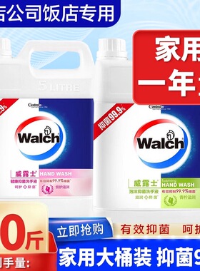 威露士泡沫洗手液补充装5L大桶5升装学校酒店清洁抑菌零售批发
