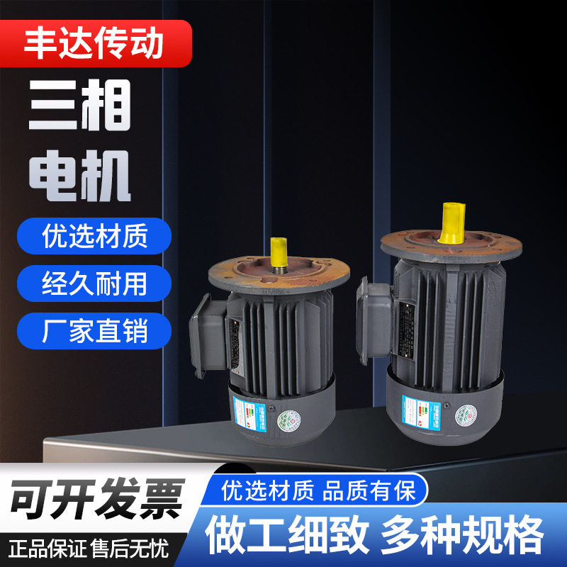 立式三相异步齿轮减速电机