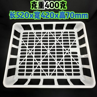 供应育苗筐特大组培盘塑料组培筐白色耐高温组培室专用筐土豆框