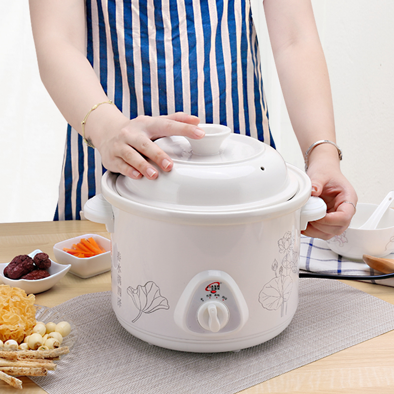 电炖炖锅家用炖汤锅陶瓷炖盅熬粥煮粥神器养生小锅砂锅煲汤锅电用