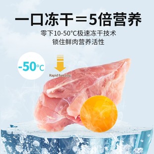 猫粮幼猫1 12个月海洋鱼味幼猫专用主粮离乳期奶糕天然小猫咪猫食