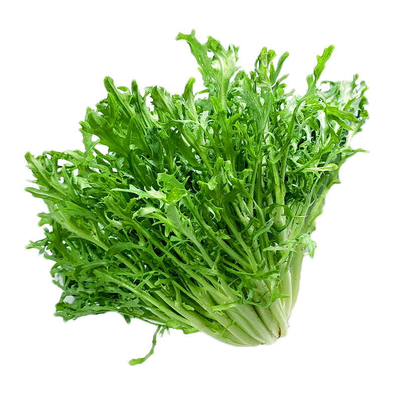 新鲜苦菊500g 苦细叶苦叶生菜苦苣 生吃西餐沙拉蔬菜轻食食材
