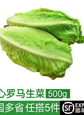 包心罗马生菜500g 黄心罗马罗纹凯撒生菜 西餐沙拉食材 5件包邮