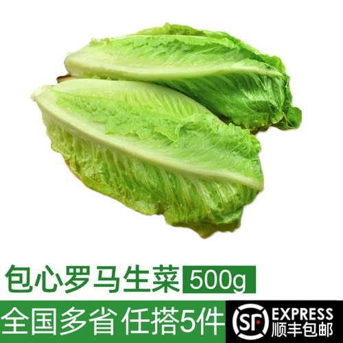 包心罗马生菜500g黄心沙拉食材