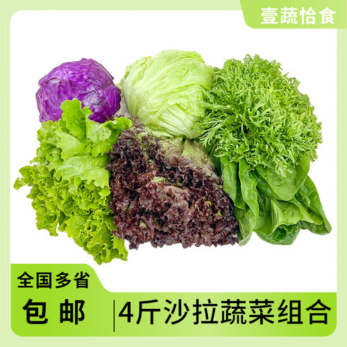 蔬菜沙拉组合4斤 新鲜混合蔬果色拉生吃食材健身轻食套餐生菜沙拉