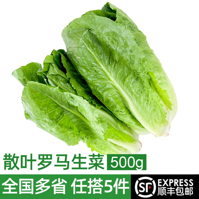 新鲜罗马生菜500g 罗纹凯撒生菜新鲜蔬菜西餐沙拉食材 满5件包邮,水产肉类/新鲜蔬果/熟食,叶菜类,淘宝优惠券,粉丝福利购,淘宝优惠卷