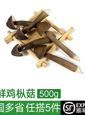 新鲜黑皮鸡枞菌500g 菌菇长根蘑菇荔枝菌鸡棕菇 煲汤食材