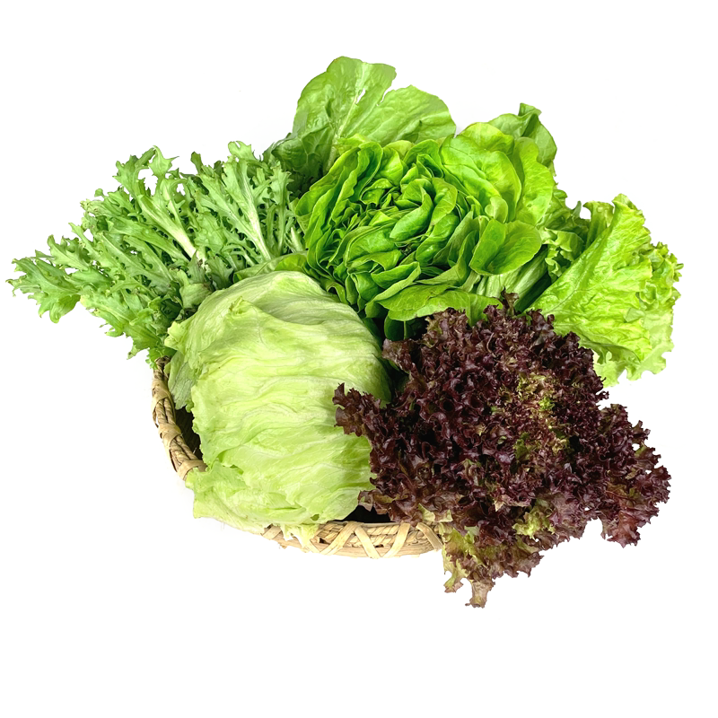 沙拉蔬菜组合3.5斤 球生菜苦菊奶油罗马新鲜蔬菜西餐色拉沙拉食材