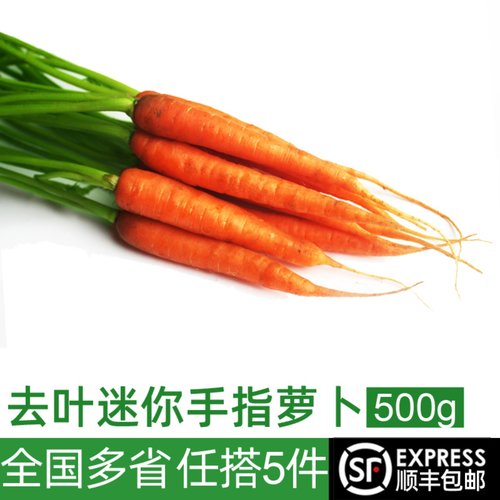 生吃沙拉食材新鲜去叶手指胡萝卜