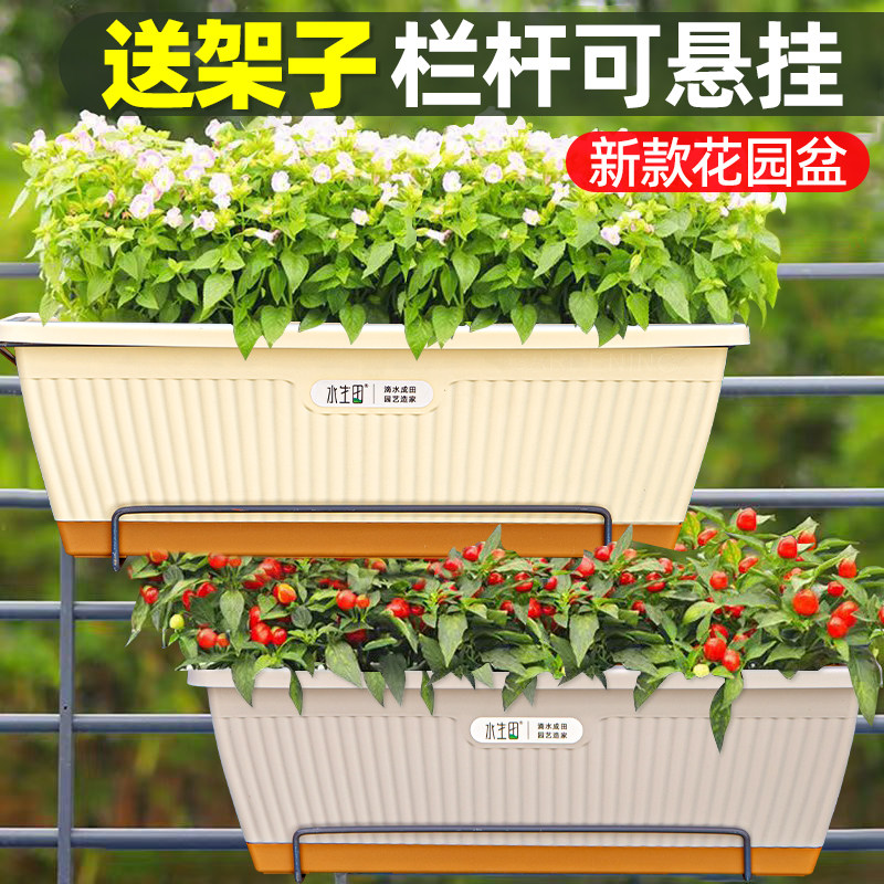 速发新款台种菜盆长塑形方料花盆草莓盆栽种葱长箱种植条家用