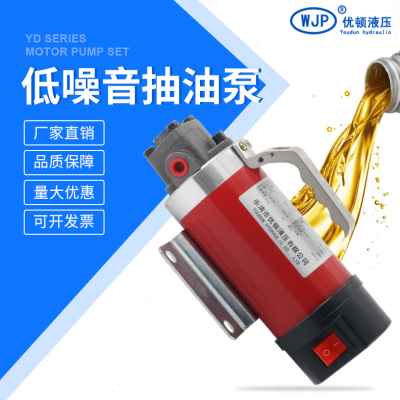 速发厂促油动12V静音抽电泵车载4S保养抽滑泵小型自吸泵润油齿轮