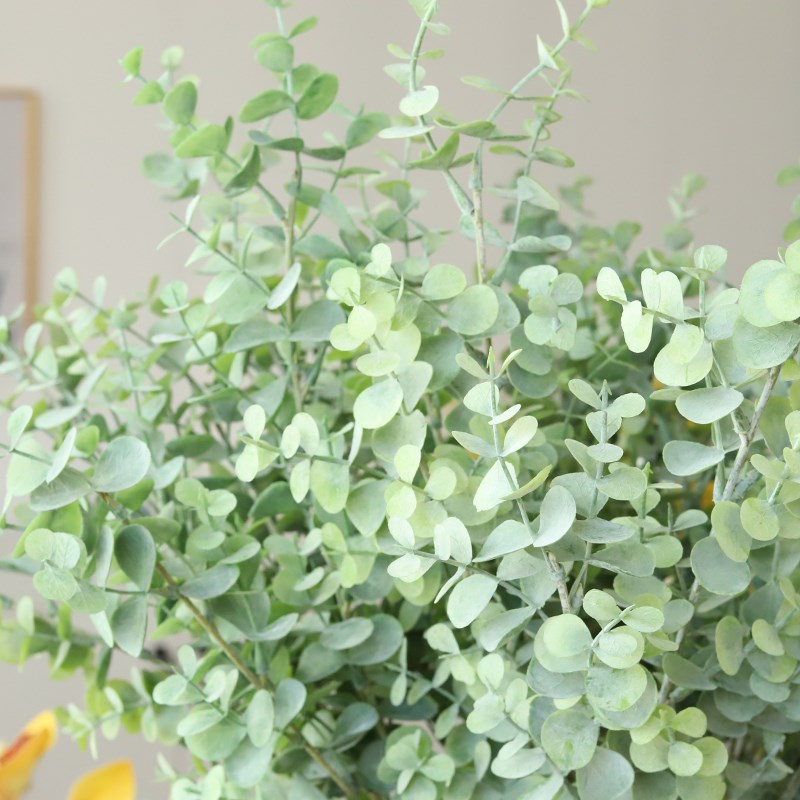速发金钱客尤加利花假花植绒厅叶子单枝家居叶假装饰配花