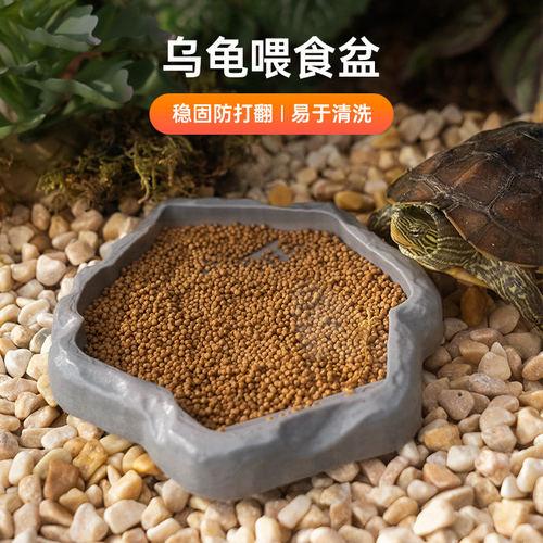 速发爬宠乌龟喂食盆水盆角蛙寄居蟹泡澡盆爬宠饲养箱加湿水池洗澡