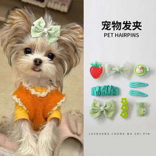 速发吉娃娃头上装饰四色奶照结拍蝶小配饰bb夹发卡小蝴狗发饰