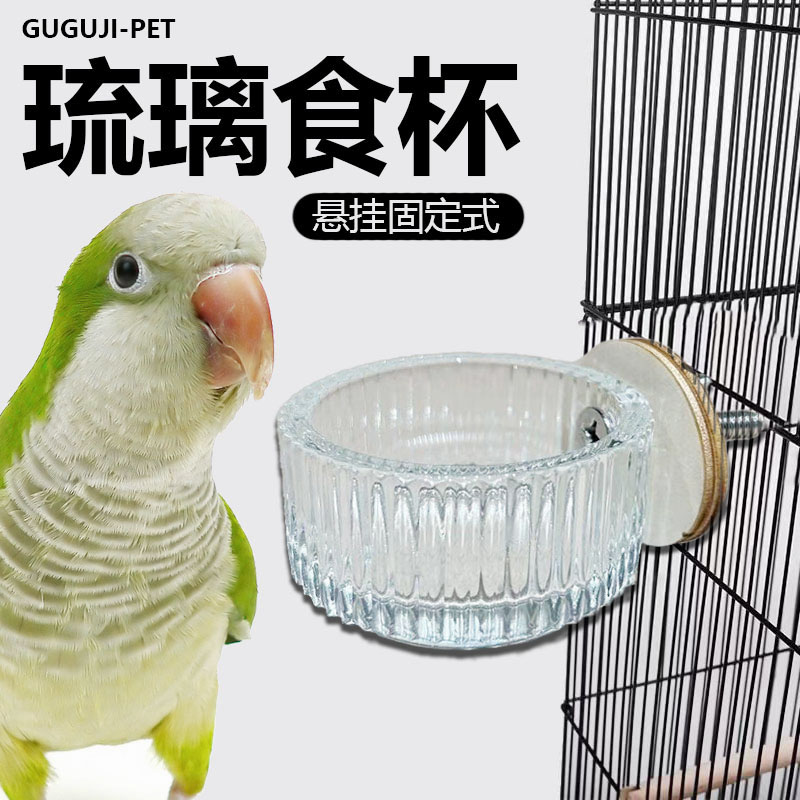 速发琉璃食盆鹦鹉悬挂玻璃小食食盆透明迷你碗零食碗玄风牡丹虎皮