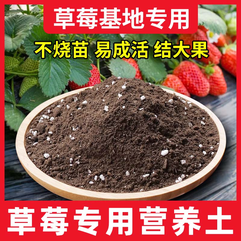 速发草莓营养菜促种土果树营盆栽土种台花肥料养花种菜