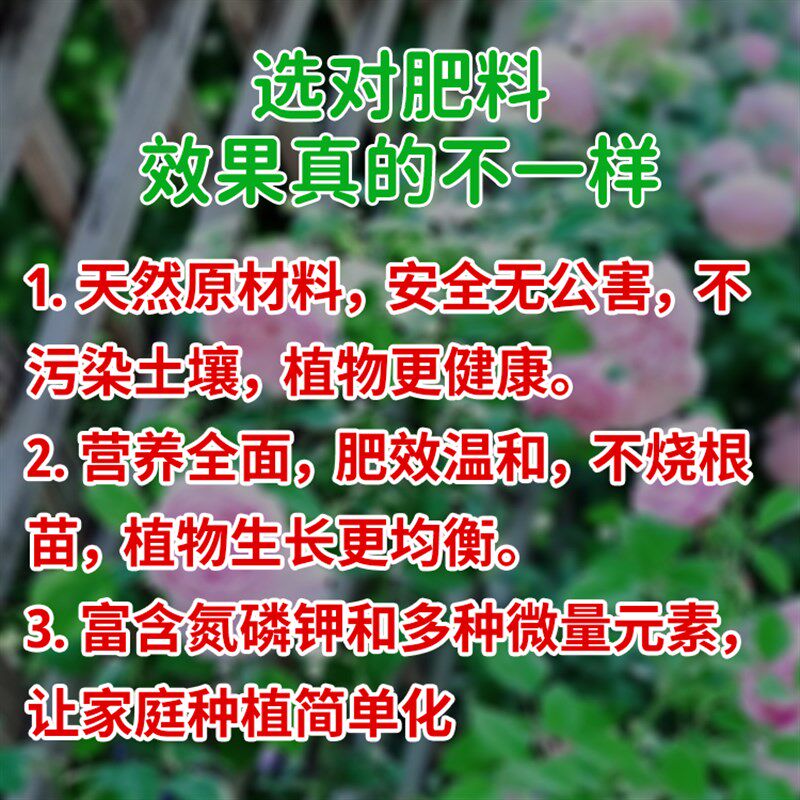 速发凤尾竹肥料专用肥家用盆栽植物缓释肥复合肥有机营养液叶面肥