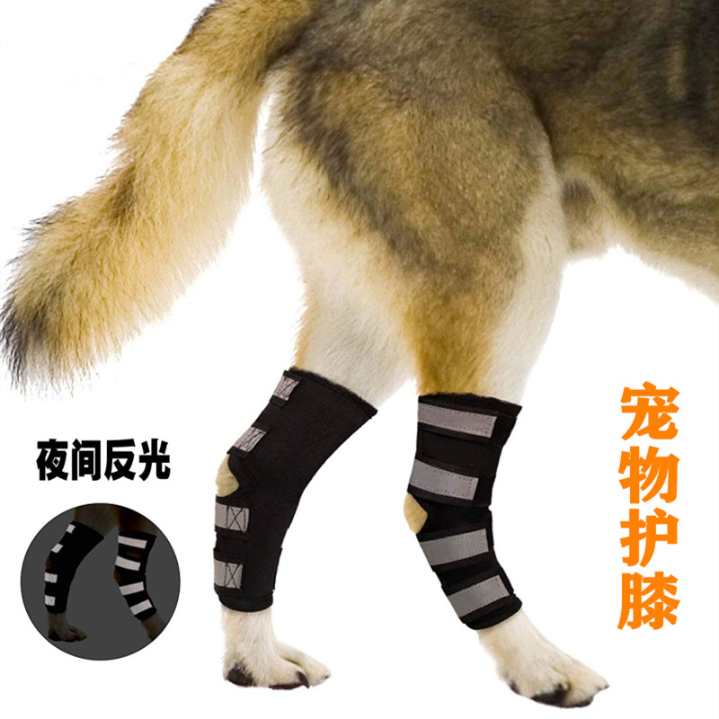 速发反光护膝护腿夜光保护关节护套犬类腿部护理矫正保护支撑