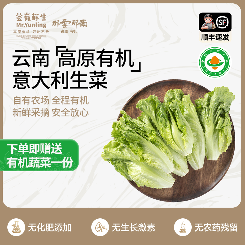云南高原新鲜有机农场意大利生菜鲜嫩脆滑做沙拉3.6斤装生鲜蔬菜